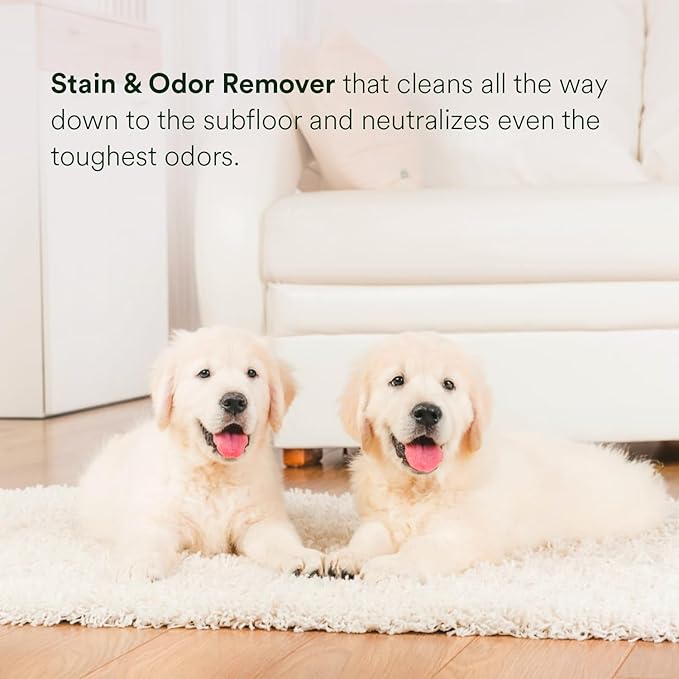 pawTree Urine Eliminator™ - Stain & Odor Remover for Cats and Dog. Enzymatic technology permanently removes old and new stains, neutralizes odors, and prevents repeat marking. Ideal for carpets.-Mewly Pet