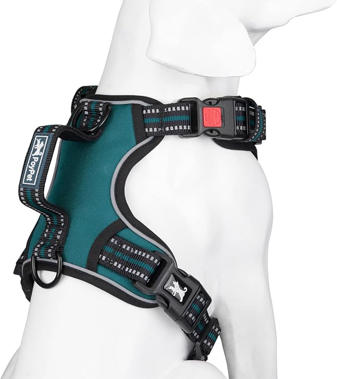 PoyPet No Pull Dog Harness, No Choke Front Clip Reflective Dog Vest with Soft Padded Vertical Handle, 3 Leash Attachments for Small Medium Large Dogs (Tumalo Teal,M)-Mewly Pet