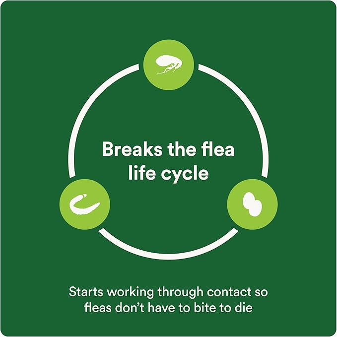 Plus Flea Prevention For Cats, Cat and Kitten Treatment & Control, Small and Large, Fast Acting Waterproof Topical Drops, 4 Month Supply-Mewly Pet