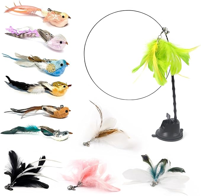 12PCS Interactive Cat Feather Wand Toy Set – 11 Bird & Feather Teaser Refills with Bells + Flexible Suction Cup Wand – Realistic Bird Design, Natural Materials, Indoor Cat Toys for Exercise & Play-Mewly Pet