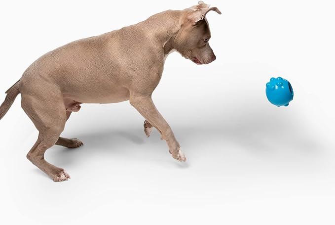 Jolly Dipper Treat Dispensing Dog Toy-Mewly Pet