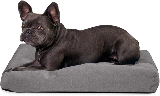 K9 Ballistics Tough Rectangle Pillow Small Dog Bed - Removable Cover, Washable, Durable & Water Resistant Dog Bed Made for Small Dogs 24"x18" Light Gray Velvet-Mewly Pet