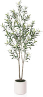 LOMANTO Artificial Olive Trees, 5 ft Tall Fake Olive Trees for Indoor, Faux Olive Silk Tree, Large Olive Plants with White Planter for Home Decor and Housewarming Gift, 1 Pack