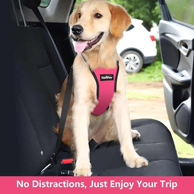 Dog Seat Belt, Safety Vest Dog Car Harness with Adjustable Buckle Dog Seat Belt for Vehicle Nylon Pet Safety Seat Belts Heavy Duty(XXL, Magenta)-Mewly Pet