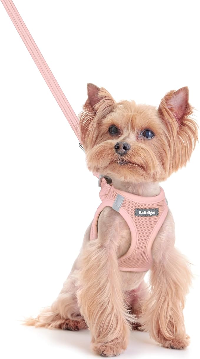 rabbitgoo Dog Harness Small Sized and Leash Set, Step in Soft Light Puppy Vest, Breathable Mesh Pet Harness, Reflective for Safe Outdoor Walking, Pink XXS-Mewly Pet