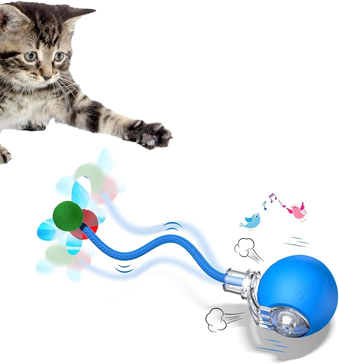 Interactive Cat Toys for Indoor Cats - Kitten Toy with Speedy Tail 2.0, Automatic Cat Toys for Bored Indoor Adult Cats, Motion-Activated, 2025 New Upgraded, USB Rechargeable (Blue)-Mewly Pet