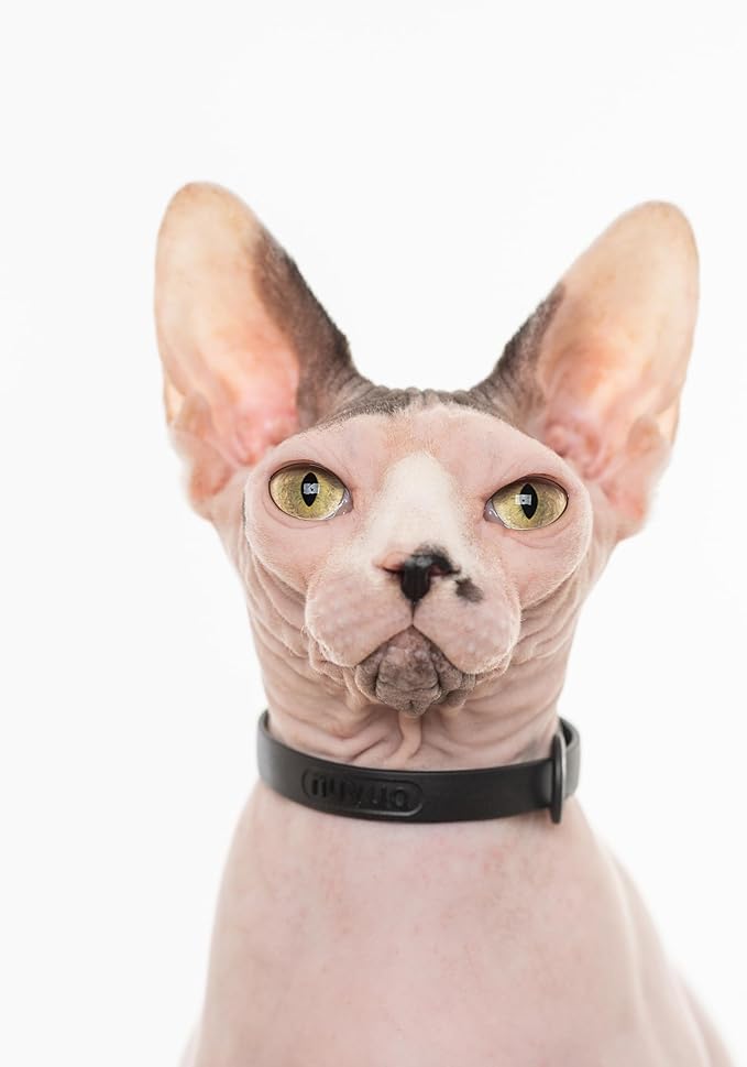 Silicone Cat Collars 2 Pack - Soft, Comfortable, and Lightweight Safety Breakaway Collar with Name Tag Ring for Outdoor Cats and Sensitive Skin Kittens by Nuvuq (6 ⅞" to 10 ¼", Black)-Mewly Pet