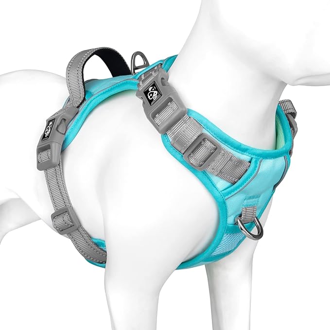 PHOEPET No Pull Dog Harness, Unique Colors Reflective Adjustable Dog Vest, with Soft Training Handle Metal Clips for Small Medium Large Dogs (Mint Green Base & Grey Straps,M)-Mewly Pet
