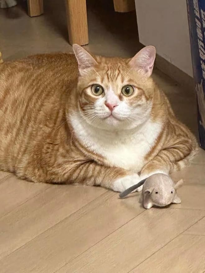 Plush Catnip Mice Toys with Crinkle Sound - 2 Pcs Interactive Cat Toys for Indoor Cats, Durable Stress Relief Eco-Friendly Small Mouse Chew Playthings（Camel+ Chestnut Color）-Mewly Pet