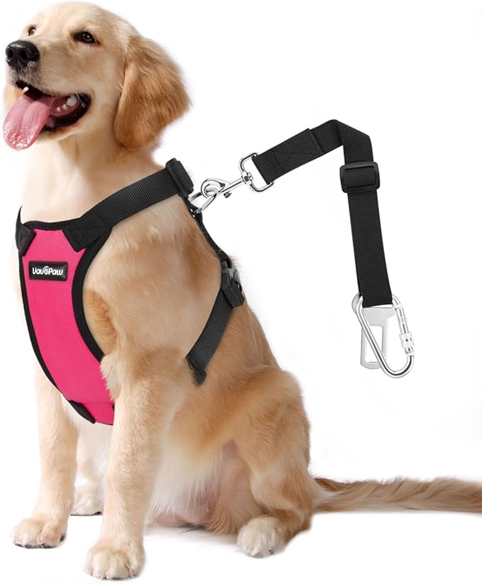 Dog Seat Belt, Safety Vest Dog Car Harness with Adjustable Buckle Dog Seat Belt for Vehicle Nylon Pet Safety Seat Belts Heavy Duty(XXL, Magenta)-Mewly Pet