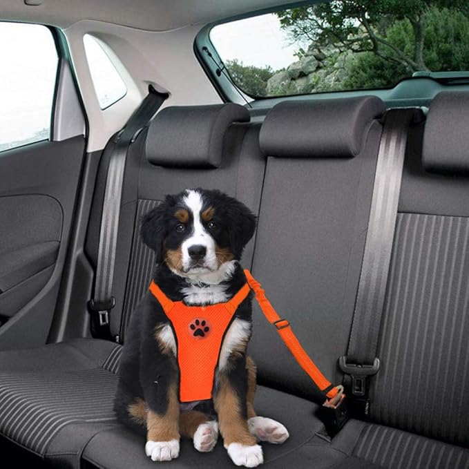 Lukovee Dog Seat Belt for Car, Adjustable Dog Car Harness for Large Medium Small Dogs, Soft Padded & Breathable Mesh Dog Seatbelt with Car Vehicle Connector Strap (Orange,Medium)-Mewly Pet