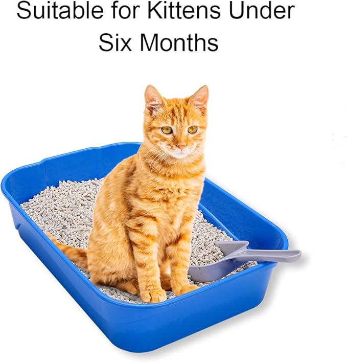 Kitty Litter Box Starter Kit - Small Cat Litter Pan Without Lid, Litter Mat, Scoop and Bowl for Kitten Within 3 Months (GreyScoop)-Mewly Pet