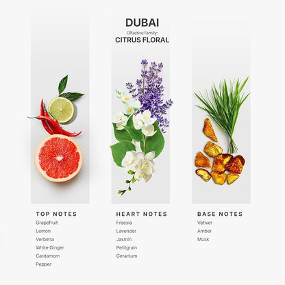AromaPlan Hotel Scents Dubai 16 Fl Oz 2 Pack (946ml), Home Luxury Aroma & Hotel Fragrance Diffuser Oil- Hotel Diffuser Oil for Aromatherapy- USA Made, Bigger Bottle, Bolder Aroma & Longer Lasting