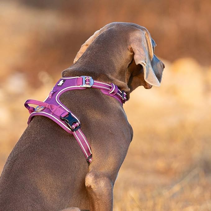 TRUE LOVE Dog Harness No Pull Nylon Reflective Pet Harness Adjustable Comfortable Control Step-in Brilliant Colors Truelove TLH56512 XS-Mewly Pet