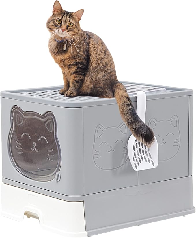 Top Entry Cat Litter Box with Lid, Anti-Splash Foldable Cat Litter Box with Activated Carbon Keeping Air Fresh, Drawer Type Easy to Clean, Large (Grey)-Mewly Pet