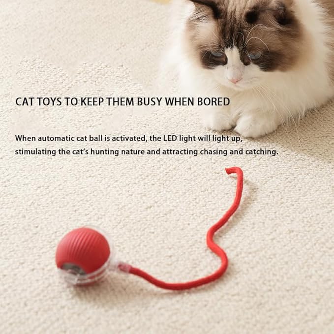 Interactive Cat Toy Ball for Indoor Cats - 3-Speed Smart Rolling Ball with Flashing Lights, USB Rechargeable Automatic Motion Kitten Toys for Bored Adult Cats & Playful Kittens-Mewly Pet