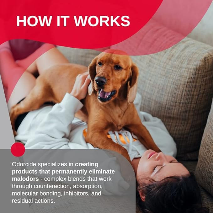 Odorcide Odor Eliminator Concentrate: Odor Eliminator for Strong Odor on Carpets, Hardwood & More - Smoke, Sweat & Pet Odor Eliminator for Home w/Non-Enzymatic Formula, 1 Gallon-Mewly Pet