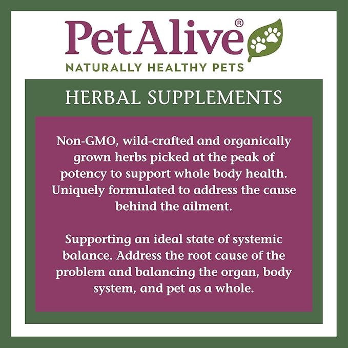 352706 PetAlive Complete EaseSure ComboPack-Mewly Pet