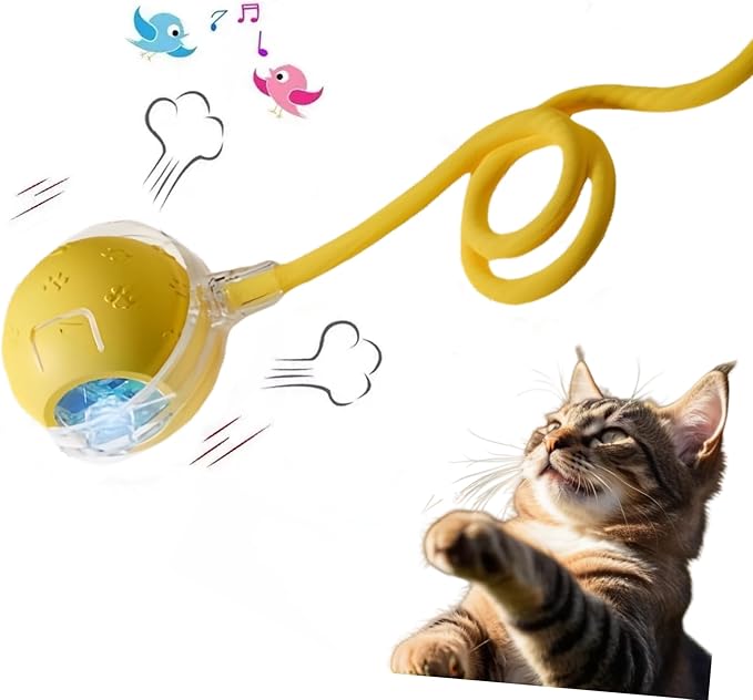 Interactive Cat Toy Ball – Automatic Electric Rolling Ball with Chirping Bird Sounds, Motion-Activated Indoor Toy for Kittens and Cats, Fun Exercise Play (Yellow)-Mewly Pet
