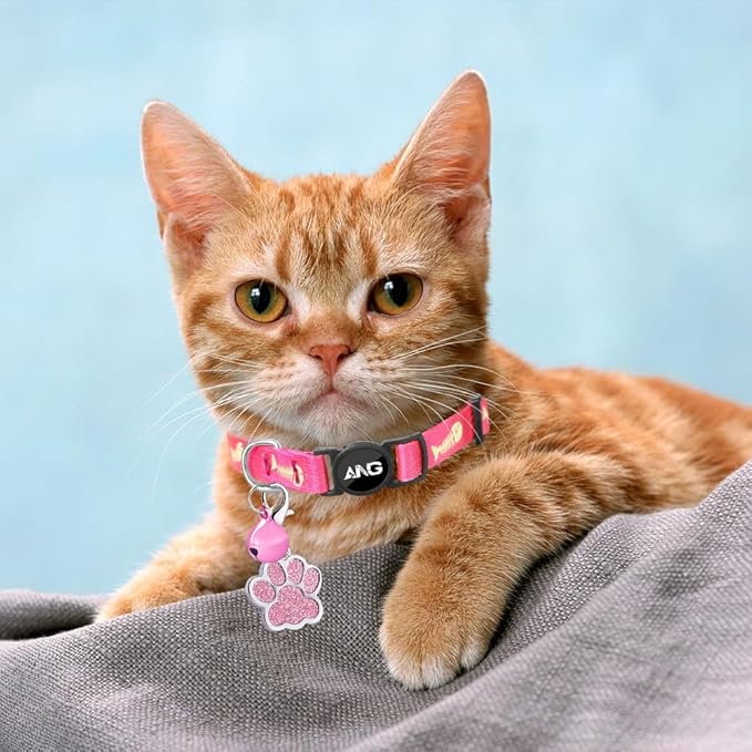 Personalized Breakaway Cat Collars Glow-in-The-Dark with ID Tag, Bell - Safety Quick - Release, Customizable for Female Male Kittens & Cats (Pink)-Mewly Pet