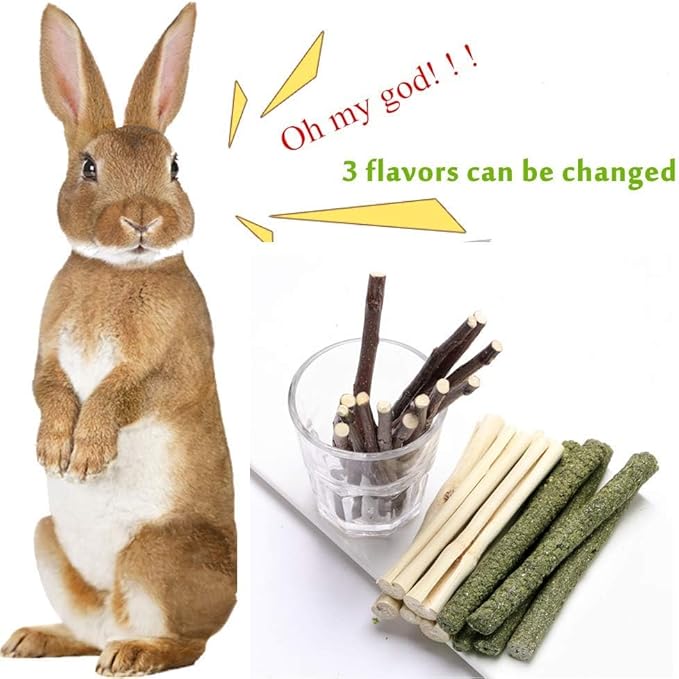 600g Guinea Pig and Rabbit Chew Toys - Sweet Bamboo and Timothy Apple Sticks for Healthy Teeth and Relaxation - Natural and Safe Guinea Pig Chew Toys-Mewly Pet