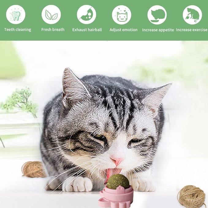 Oncpcare 3 Pack Rotatable Edible Catnip Balls for Cats Wall Cat Mints Ball Toys for Indoor Cats Cat Removal Hairball Toys Catnip Balls Treats for Kitten Kitty Playing Chewing-Mewly Pet