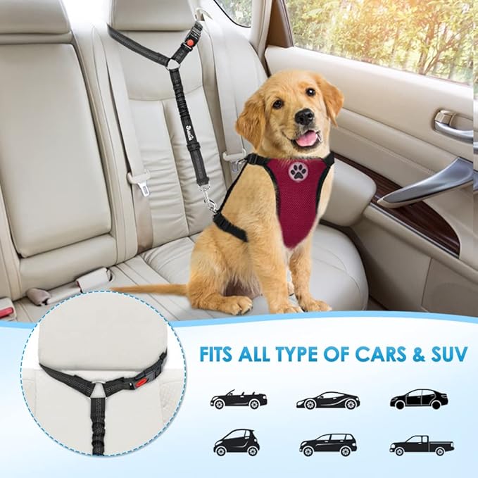 SlowTon Dog Seat Belt for Car, 2 Pack Dog Car Harness Seatbelt Adjustable with Elastic Bungee Buffer, 2 in 1 Pet Car Leash Headrest Restraint Dog Reflective Safety Tether (Black, Headrest)-Mewly Pet