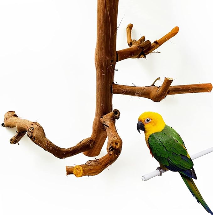 Allazone Natural Parrot Perch Bird Stand Branch Wild Grape Stick Paw Grinding Branch Parakeet Climbing Standing Branches Toy Chewable Cage Accessories for Small Lovebirds Budgies Cockatiels-Mewly Pet