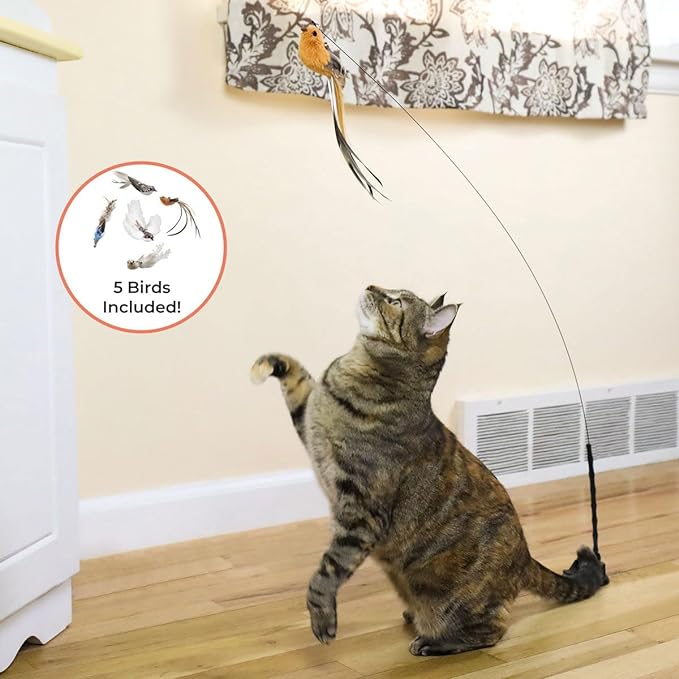 Interactive Bird Simulation Cat Toy Set, Interactive Cat Toys for Indoor Cats, Cat Feather Toy, Self-Holding Suction Base, 5 Replacement Birds, Feathers & Bells, Realistic Bird Impression-Mewly Pet