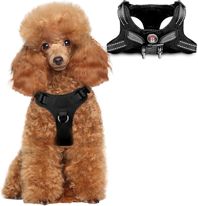 Dog Harness Step in Dog Vest Harness, Reflective Adjustable Puppy No Pull Harness Breathable Soft for Small and Medium Dogs Cats, Black, XS-Mewly Pet