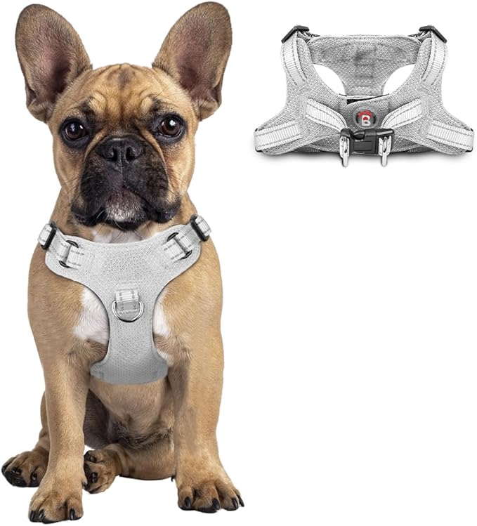 Dog Harness Step in Dog Vest Harness, Reflective Adjustable Puppy No Pull Harness Breathable Soft for Small and Medium Dogs Cats, Grey, S-Mewly Pet