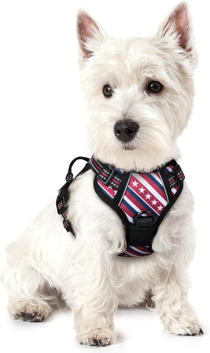rabbitgoo Dog Harness No Pull with 2 Leash Clips, Adjustable Soft Padded, Reflective Oxford No Choke Pet Vest with Easy Control Handle for Large Dogs, Red Stripe, XS-Mewly Pet