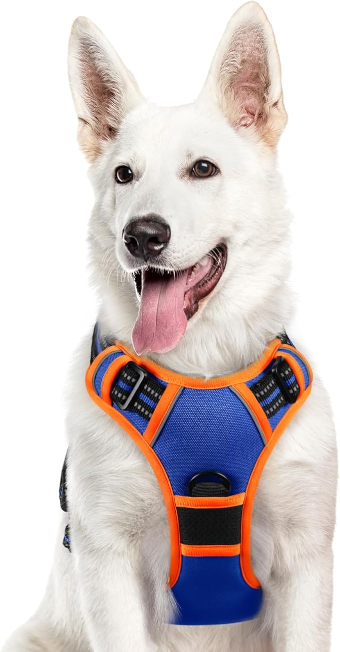 Eagloo Dog Harness for Large Dogs, No Pull Service Vest with Reflective Strips and Control Handle, Adjustable and Comfortable for Walking, No Choke Pet Harness with 2 Metal Rings, Blue & Orange, XL-Mewly Pet