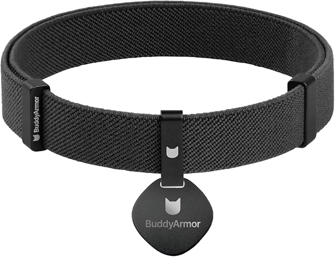 Safety Cat Collar and ID Tag Set - Elastic Quick Release Non Breakaway Personalized Anodized Aluminum Engraved Pet Name Tag, Lightweight for Kitten Small Large Cats-Mewly Pet