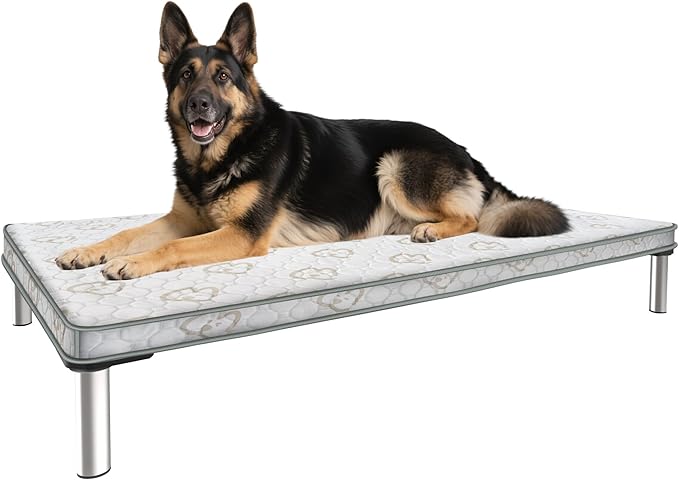 FXW TitanNest Chew-Proof Elevated Dog Bed, Raised Cot for Indoor/Outdoor/Camping Use, Durable & Washable Padded Pet Bed with Exclusive Reuseable Cover for Large Dogs, 50.0" L x 31.0" W x 7.3" H, Gray-Mewly Pet