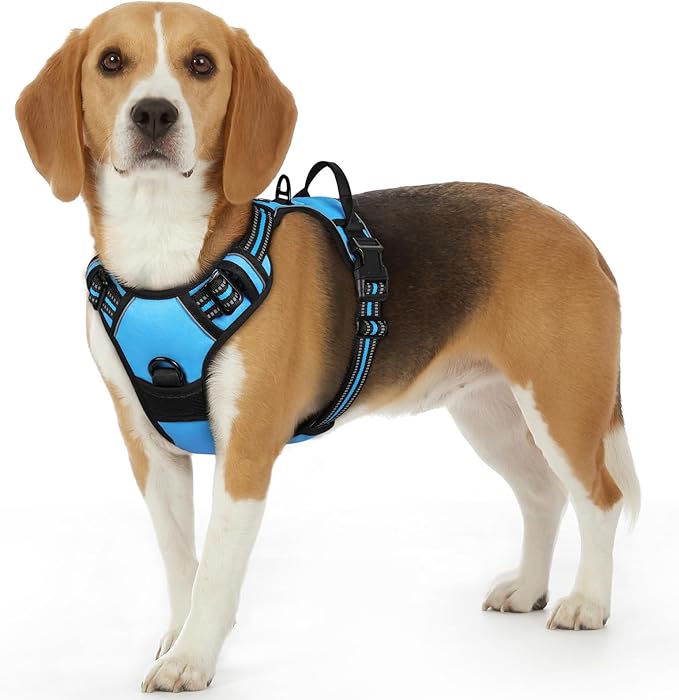 Eagloo Dog Harness Small Sized Dog, No Pull Service Vest with Reflective Strips and Control Handle, Adjustable and Comfortable for Easy Walking, No Choke Pet Harness with 2 Metal Rings, Sky Blue, S-Mewly Pet