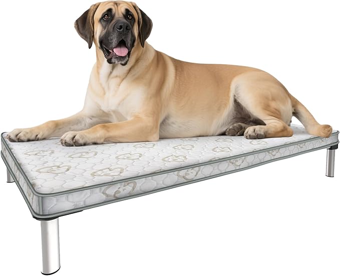 FXW TitanNest Chew-Proof Elevated Dog Bed, Raised Cot for Indoor/Outdoor/Camping Use, Durable & Washable Padded Pet Bed with Exclusive Cover for Extra-Large Dogs, 56.0" L x 31.0" W x 7.3" H, Gray-Mewly Pet