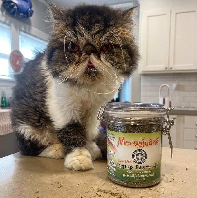 Meowijuana Catnibas Catnip Pawty Mix with Lemongrass Jar | Value Bulk Jar | Premium High Potency Catnip | Premium Hand Harvested North American Catnip | 60g-Mewly Pet