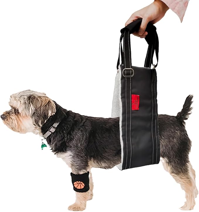 Dog Lift Harness - Adjustable Sling for Rear Legs with Soft Support for Senior, Injured, Disabled Dogs After ACL Surgery - Helping Pets with Canine Aid and Rehab Support (M)-Mewly Pet