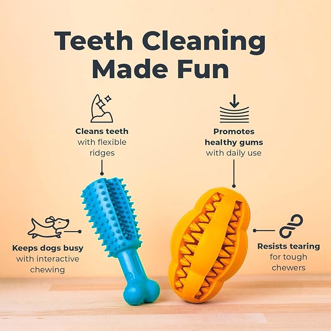 Oxyfresh Dog Dental Chew Toy - Best Durable Rubber Dog Toy & Puppy Teething Toy - Helps Remove Plaque, Cleans Teeth & Freshens Breath Without Brushing (Small)-Mewly Pet