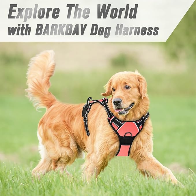 BARKBAY No Pull Dog Harness Front Clip Heavy Duty Reflective Easy Control Handle for Large Dog Walking(Light Pink,L)-Mewly Pet