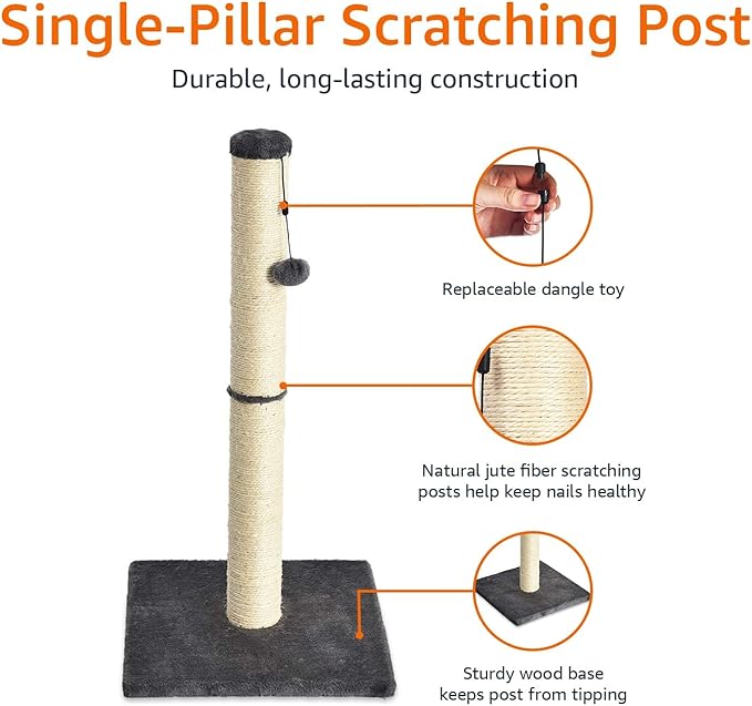 Amazon Basics Cat Scratcher - Indoor Classic Single Cat & Kittens Scratching Post, Medium (31.5"H) - Grey-Mewly Pet