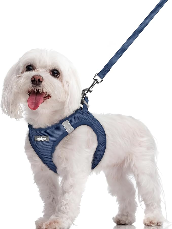rabbitgoo Dog Harness Small Sized and Leash Set, Step in Soft Light Puppy Vest, Breathable Mesh Pet Harness, Reflective for Safe Outdoor Walking, Navy Blue M-Mewly Pet
