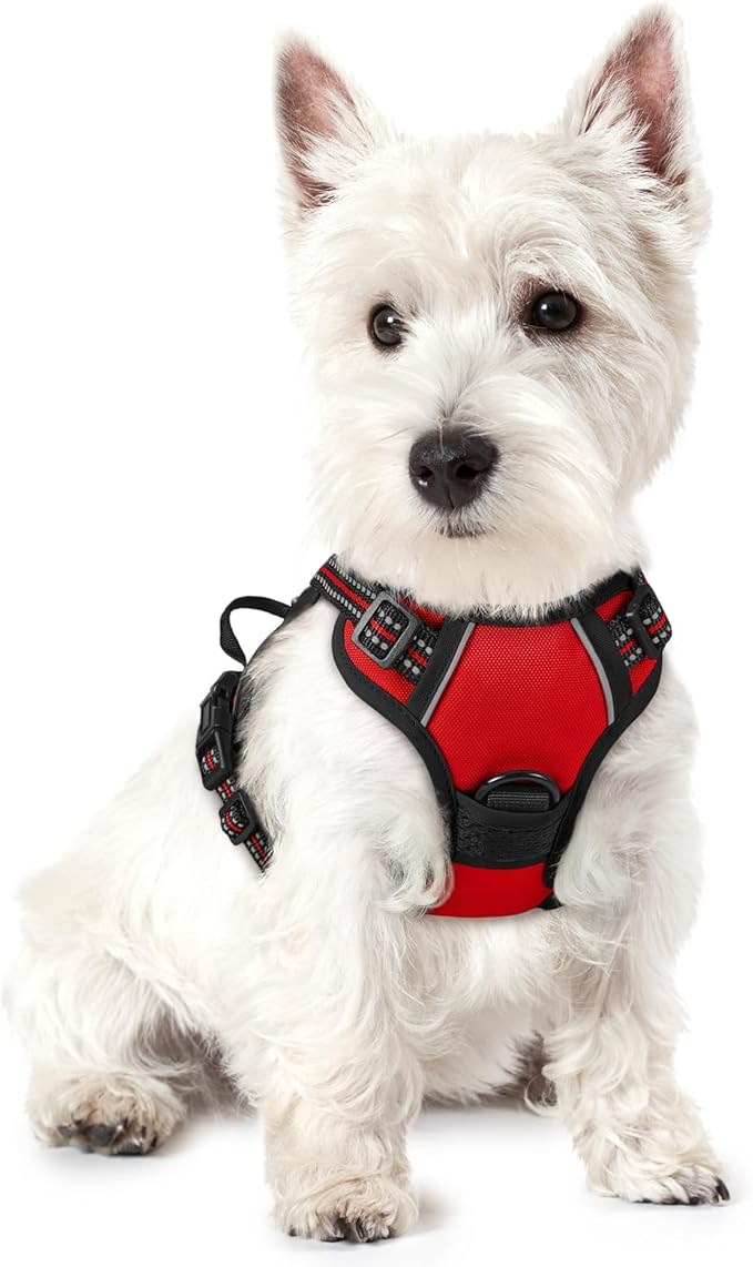 rabbitgoo Dog Harness No Pull with 2 Leash Clips, Adjustable Soft Padded, Reflective Oxford No Choke Pet Vest with Easy Control Handle for Puppy, Red,XS-Mewly Pet