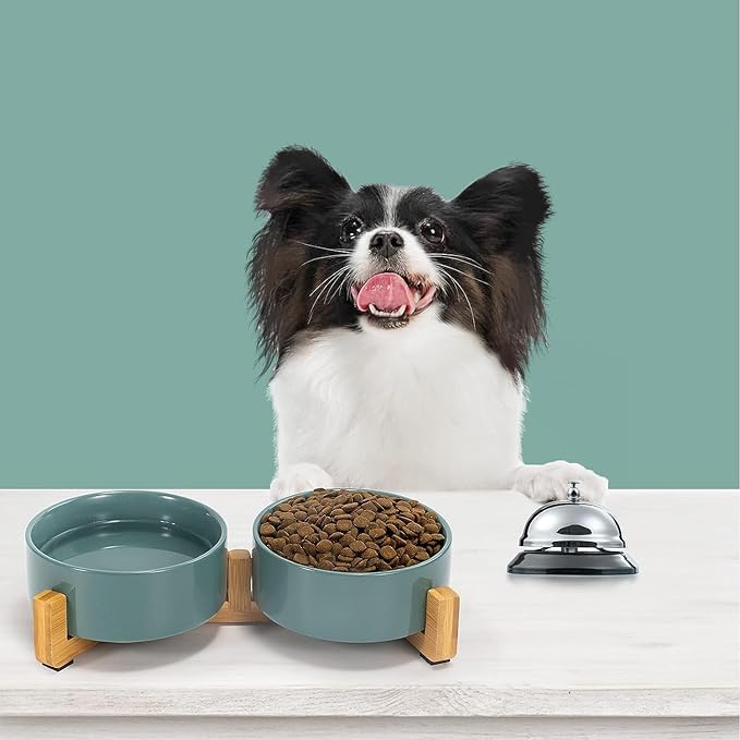 SPUNKYJUNKY Ceramic Dog and Cat Bowl Set with Wooden Stand, Modern Cute Weighted Food Water Set for Small Size Dogs (13.5OZ) & Medium Sized Dogs (28.7OZ) & Cats (1.7 Cups, 2 × Morandi Green)-Mewly Pet