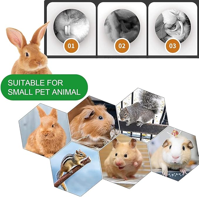 Rabbit Toys, 3 Types Hamster Chew Toys for Teeth Grinding, Improve Dental Health, Best Bunny Toys for Rabbits, Guinea Pigs, Chinchillas, Hamsters-Mewly Pet