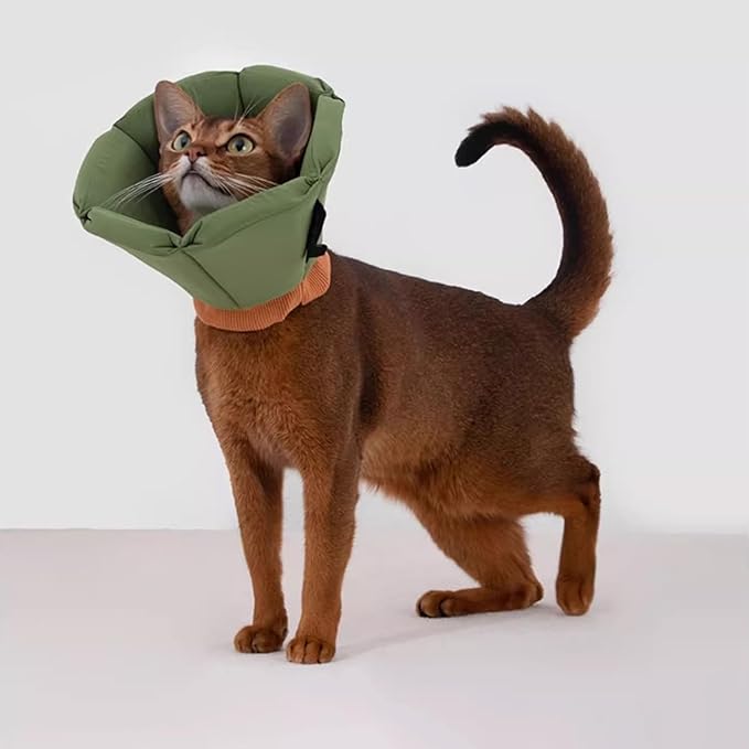 Cat Cone Collar - Soft Waterproof Elizabethan for Cats, Cute Green Flower Anti-Lick Recovery Collar, Adjustable Healing Collar for Wound Care & Surgery with a pet Toy Fish，S-Mewly Pet