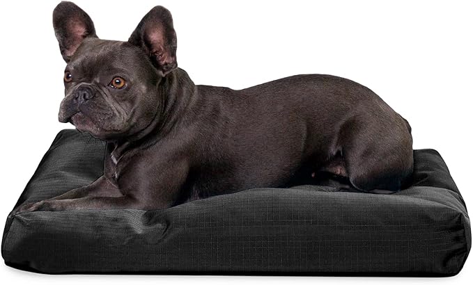 K9 Ballistics Tough Rectangle Pillow Medium Dog Bed - Removable Cover, Washable, Durable & Water Resistant Dog Bed Made for Small Dogs 24"x18" Obsidian Black-Mewly Pet