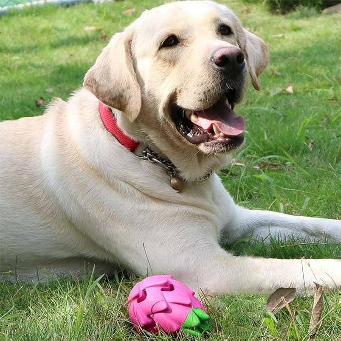 AUSCAT Dog Treat Dispensing Toys, Dispensing Puzzle Dog Toy for Aggressive Chewers, Rubber Dog Treat Dispenser, Interactive Stimulation Dog Food Toys, Pitaya Shape-Mewly Pet