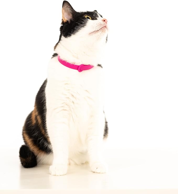 Breakaway Cat Collar - Soft, Comfortable, and Lightweight Safety Buckle Collar with Name Tag Ring for Outdoor Cats and Sensitive Skin Kittens by Nuvuq (6 ⅞" to 10 ¼", Pink)-Mewly Pet